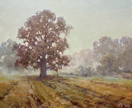 Foggy Morning Andrei Belaichuk