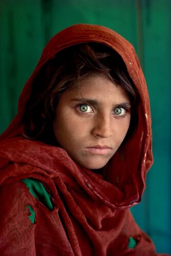 Afghan Girl, Sharbat Gula by Steve McCurry, Photography for Sale on Singulart