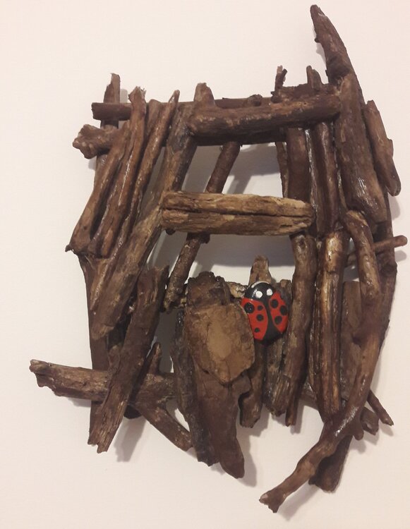 DE BOIS ET DE PIERRES Christiane Guerry