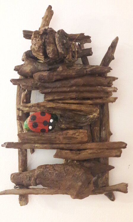 LA COCCINNELLE Christiane Guerry