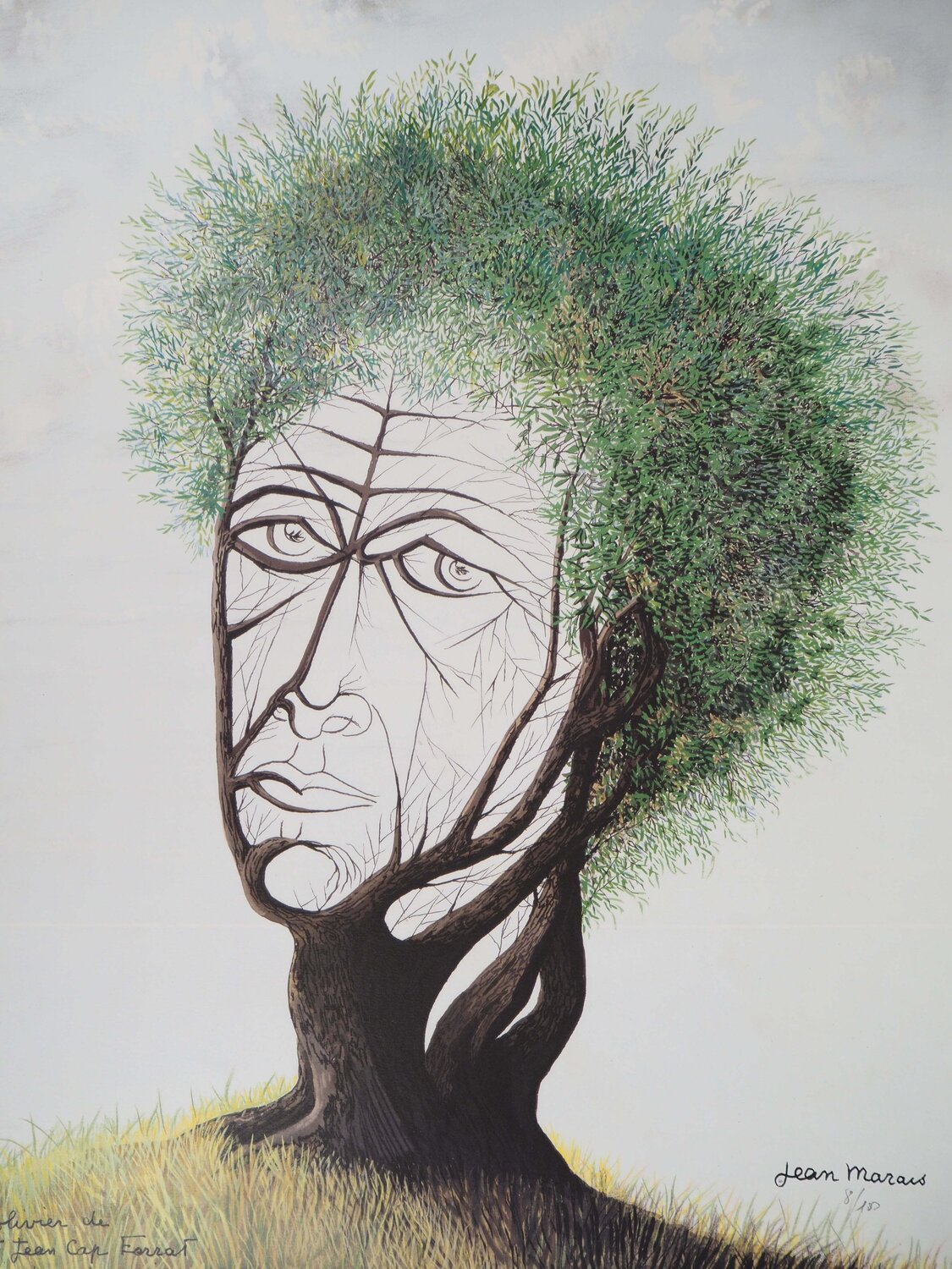 L'Olivier de Saint Jean Cap Ferrat - Visage dans l'arbre Jean Marais Édition à vendre