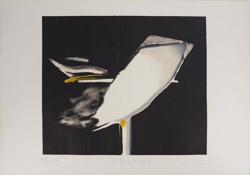 Les Flots de Larmes Jan Meijer