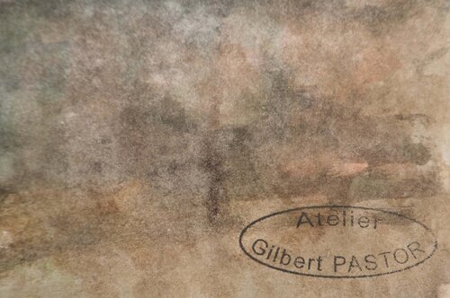 Forêt nébuleuse Gilbert Pastor