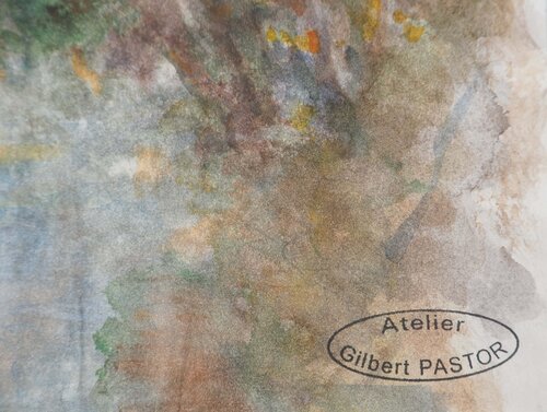 Arbustes camouflant le lever du soleil Gilbert Pastor