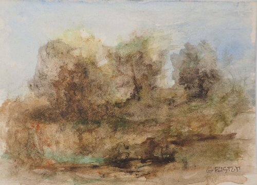 Ruisseau en forêt  Gilbert Pastor