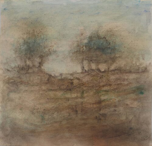 Brume couvrant les arbres  Gilbert Pastor