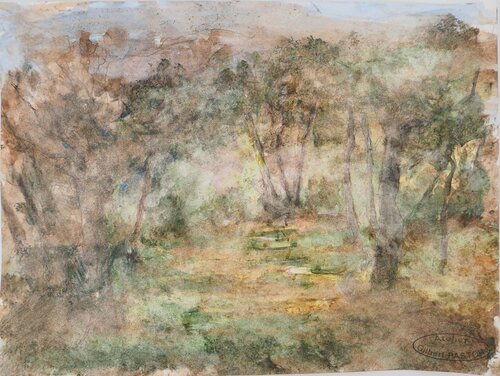Forêt sous un puit de lumière  Gilbert Pastor