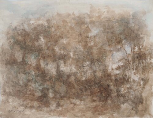 Arbres dans la brume Gilbert Pastor