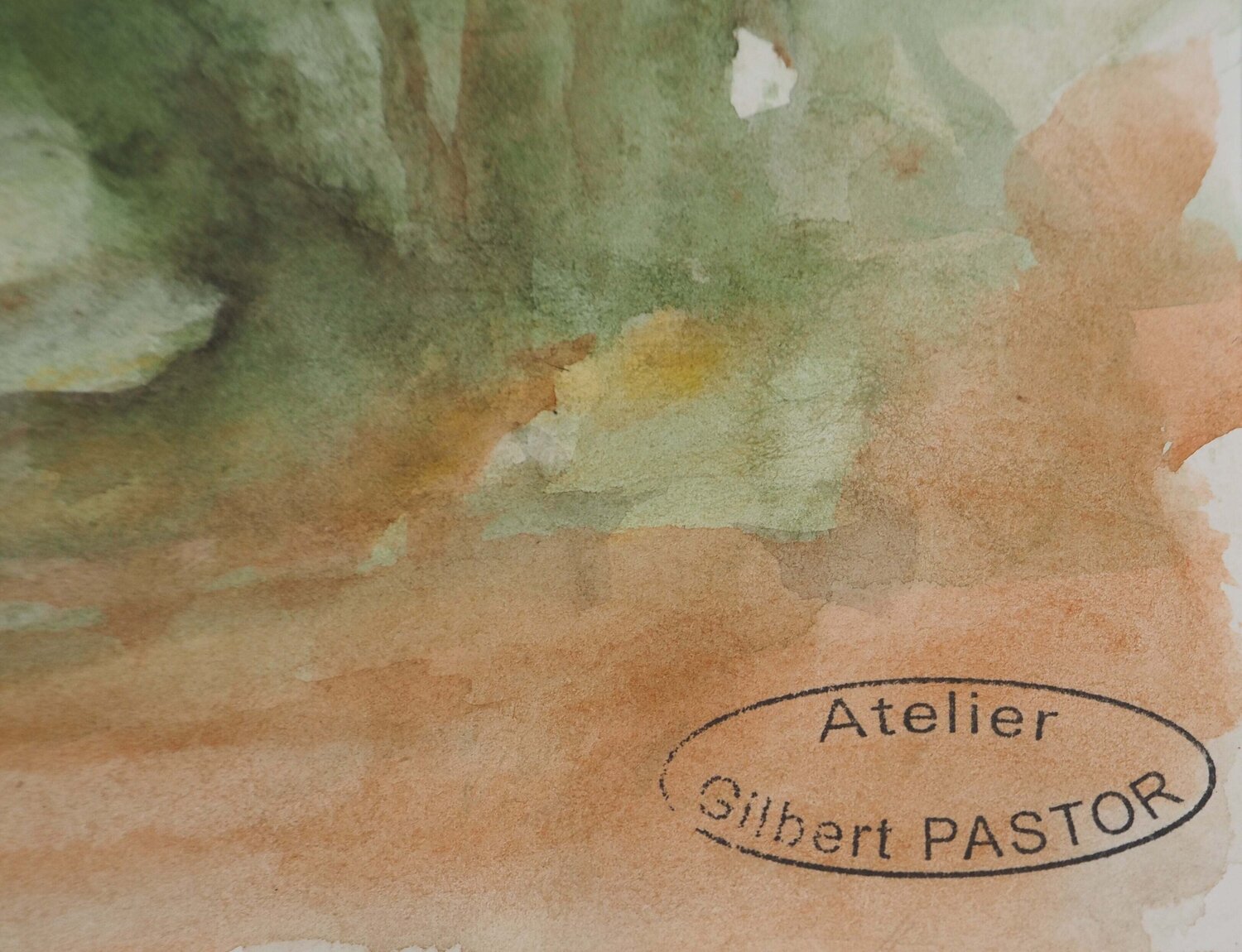Vue sur un herbage  Gilbert Pastor Opera su carta in vendita