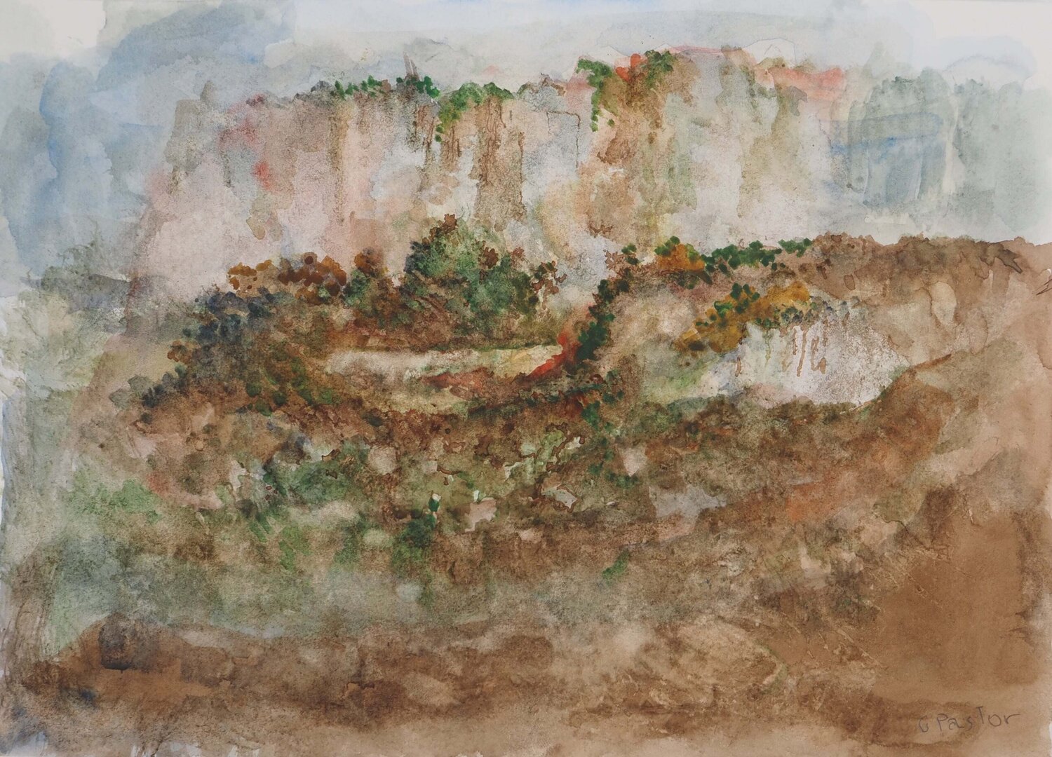 Bord de falaise fleuri  Gilbert Pastor Work on Paper for sale