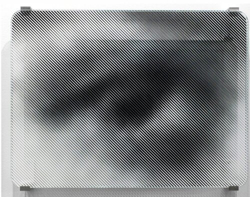 Migrants, archives from Ellis ISland #8, verre, 2018 by JR, 기타 매체 for Sale on Singulart