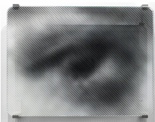 Migrants, archives from Ellis ISland #8, verre, 2018 by JR, 사진 for Sale on Singulart