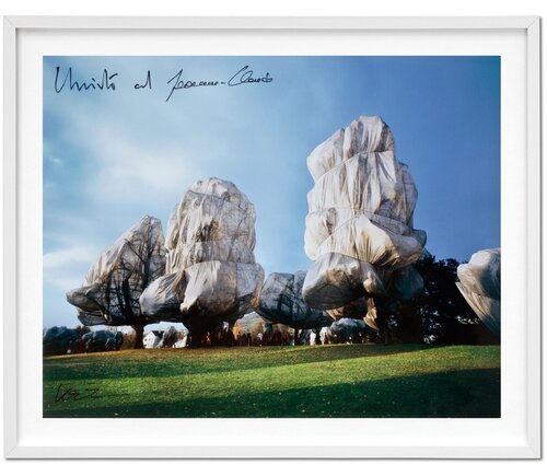 Christo and Jeanne-Claude. Wrapped Trees. Basel 1997–1998. Signed, Limited Edition book with a signed original cibachrome print van Christo, Fotografie te koop op Singulart