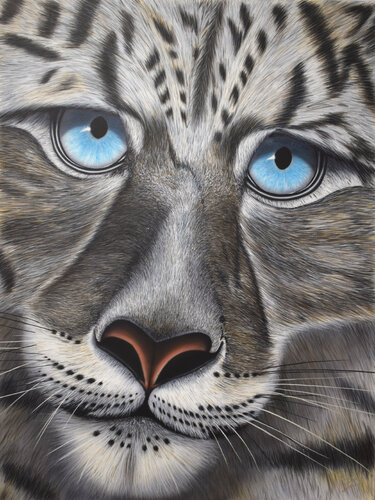 Tiger van Tino Gerlach, Schilderij te koop op Singulart