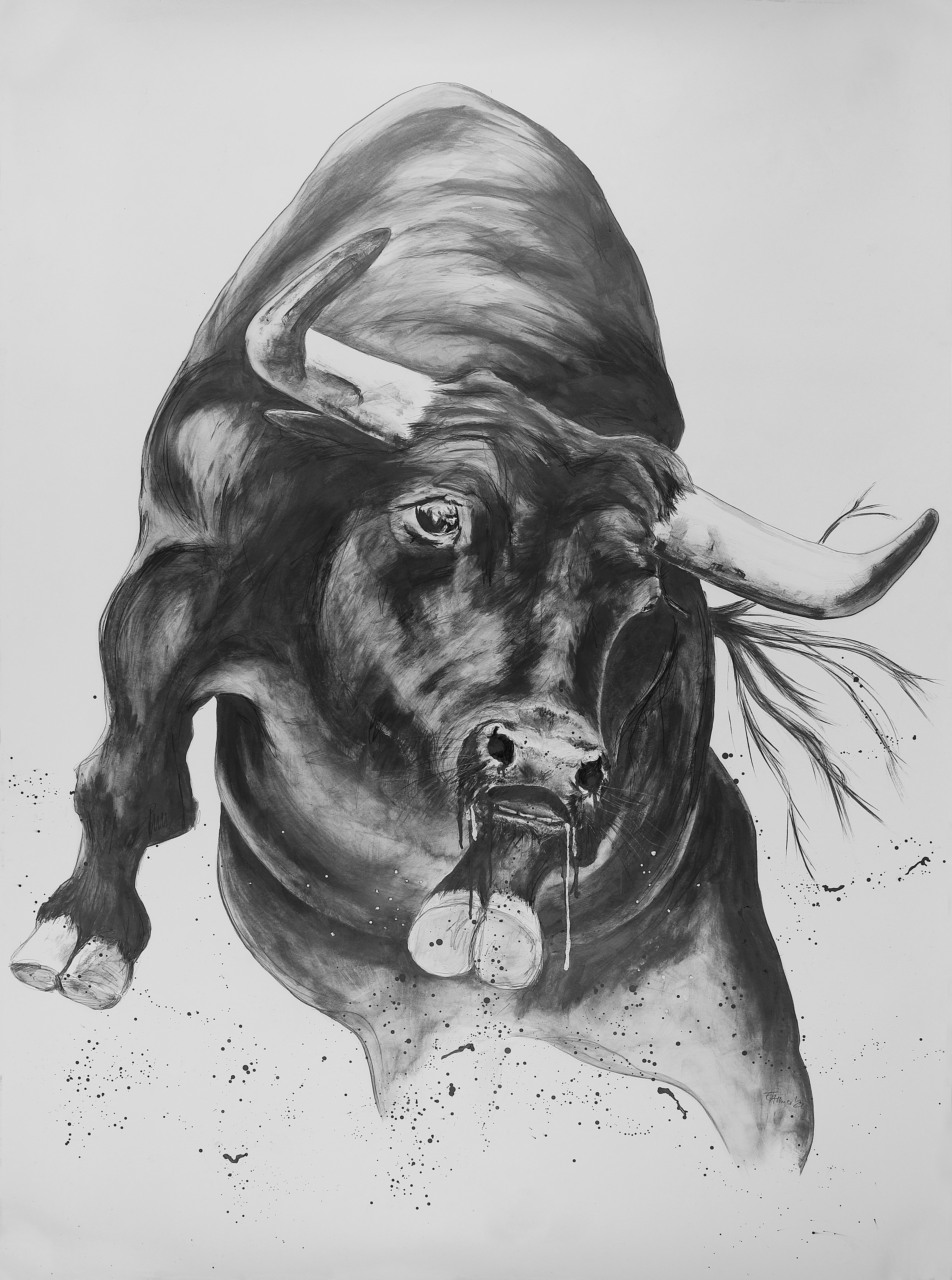Fauna