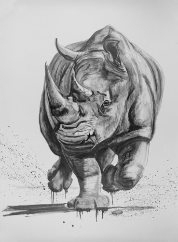 Nashorn von Esther Allmer, Malerei kaufen auf Singulart