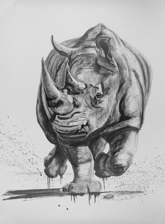 Nashorn Esther Allmer