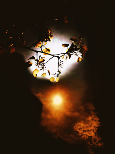 Sunset by James Swan, 사진 for Sale on Singulart