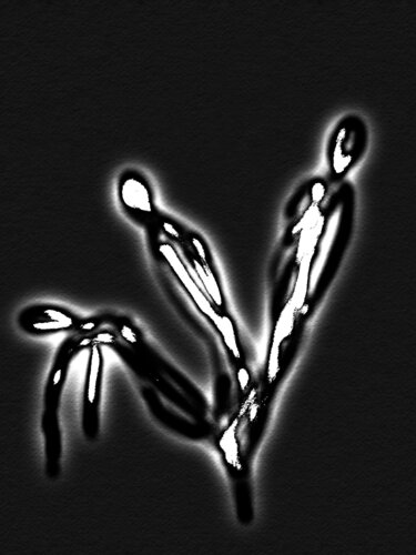 Renaissance by James Swan, 사진 for Sale on Singulart