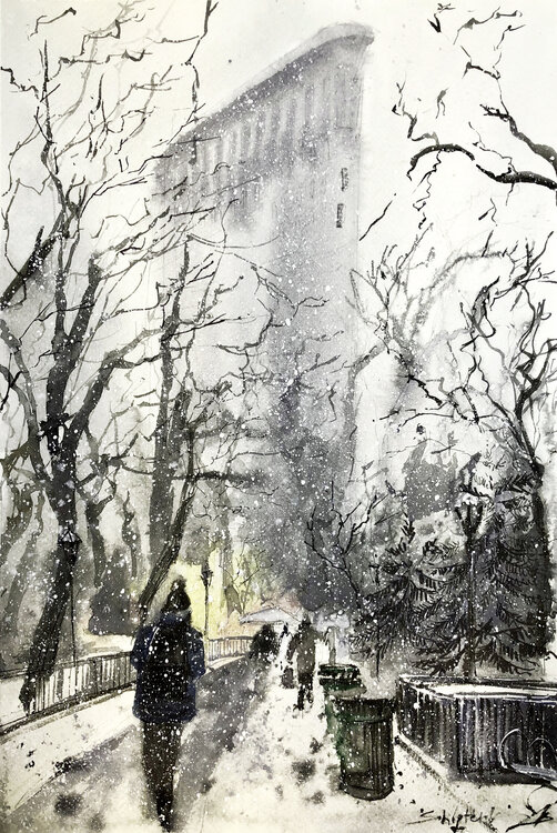 Winter Central Park Bohdan Shyptenko