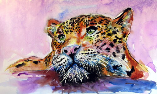 Jaguar Anna Brigitta Kovacs