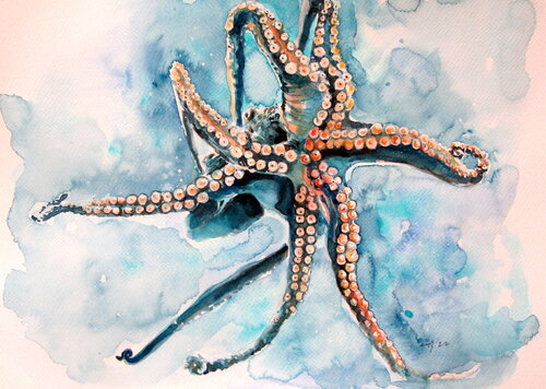 Octopus van Anna Brigitta Kovacs, Schilderij te koop op Singulart