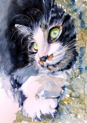 Resting cat von Anna Brigitta Kovacs, Malerei kaufen auf Singulart