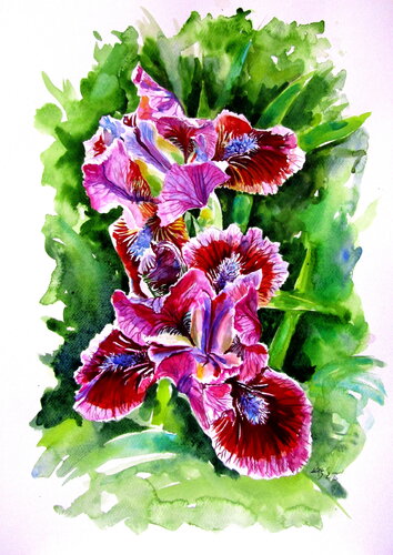 Iris II von Anna Brigitta Kovacs, Malerei kaufen auf Singulart