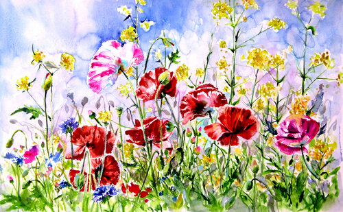 Poppies field Anna Brigitta Kovacs