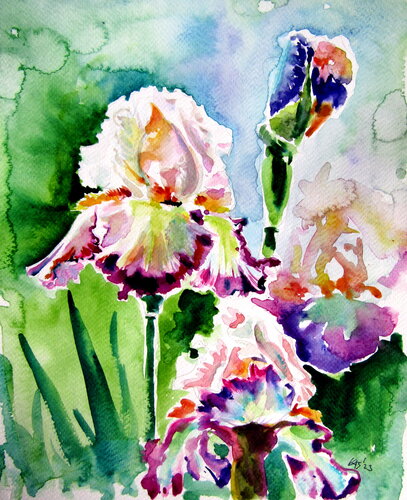 Iris from the garden von Anna Brigitta Kovacs, Malerei kaufen auf Singulart