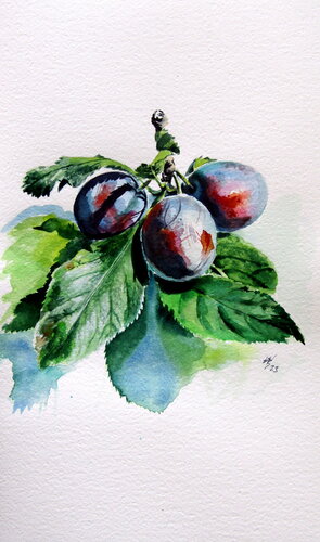 Plum von Anna Brigitta Kovacs, Malerei kaufen auf Singulart