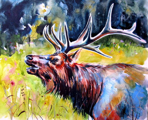 Stag roar IV von Anna Brigitta Kovacs, Malerei kaufen auf Singulart