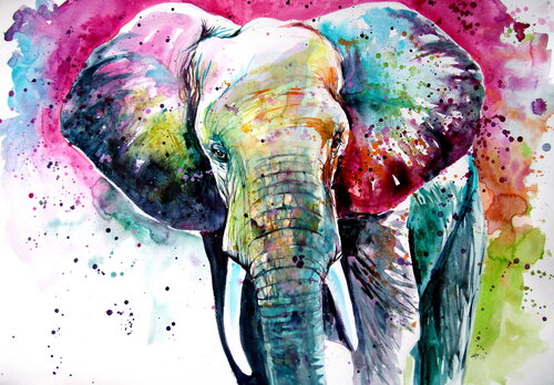 Beautiful majestic elephant Anna Brigitta Kovacs