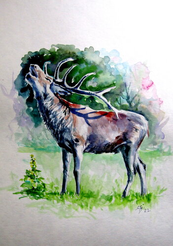 Stag roar II von Anna Brigitta Kovacs, Malerei kaufen auf Singulart