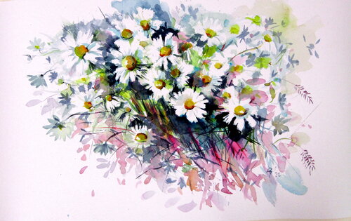 Chamomile flowers Anna Brigitta Kovacs