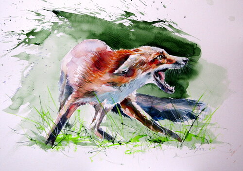 Red fox par Anna Brigitta Kovacs, Peinture en vente sur Singulart