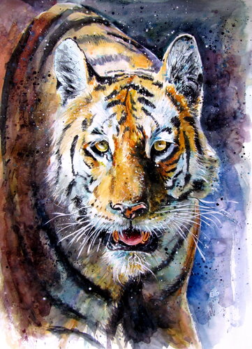 Collarwali Mataram tiger III von Anna Brigitta Kovacs, Malerei kaufen auf Singulart