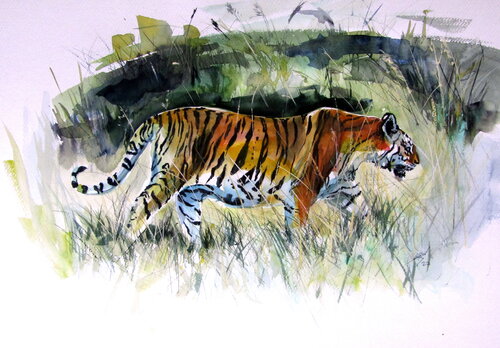 Collarwali Mataram tiger III by Anna Brigitta Kovacs, Painting for Sale on Singulart