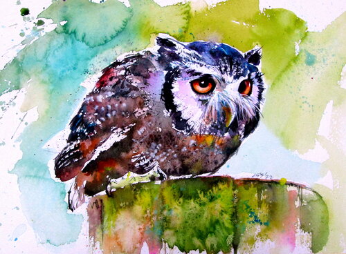 Resting owl van Anna Brigitta Kovacs, Schilderij te koop op Singulart