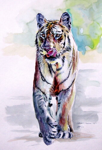 Collarwali Mataram tiger by Anna Brigitta Kovacs, Painting for Sale on Singulart