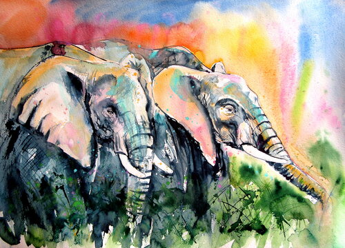 Elephants together van Anna Brigitta Kovacs, Schilderij te koop op Singulart
