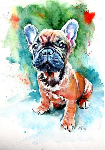 French bulldog puppy von Anna Brigitta Kovacs, Malerei kaufen auf Singulart