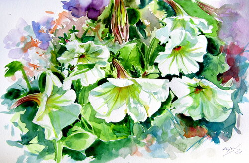 Petunia Anna Brigitta Kovacs