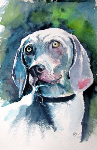 Weimaraner retriever di Anna Brigitta Kovacs, Pittura in vendita su Singulart