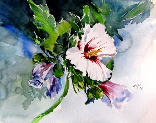 Mallow Anna Brigitta Kovacs
