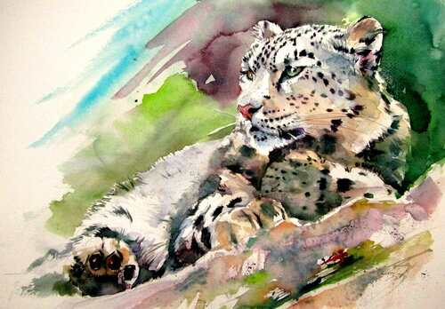 Snow leopard by Anna Brigitta Kovacs, Painting for Sale on Singulart