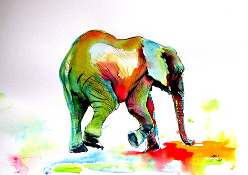 Colorful elephant alone II Anna Brigitta Kovacs