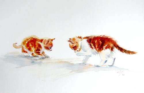 Cute kittens Anna Brigitta Kovacs