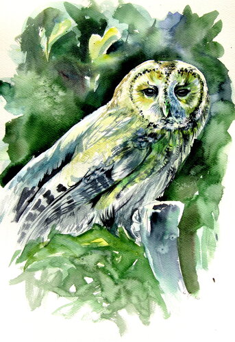 Majestic owl by Anna Brigitta Kovacs, 絵画 for Sale on Singulart