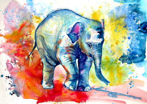 Elephant baby alone Anna Brigitta Kovacs